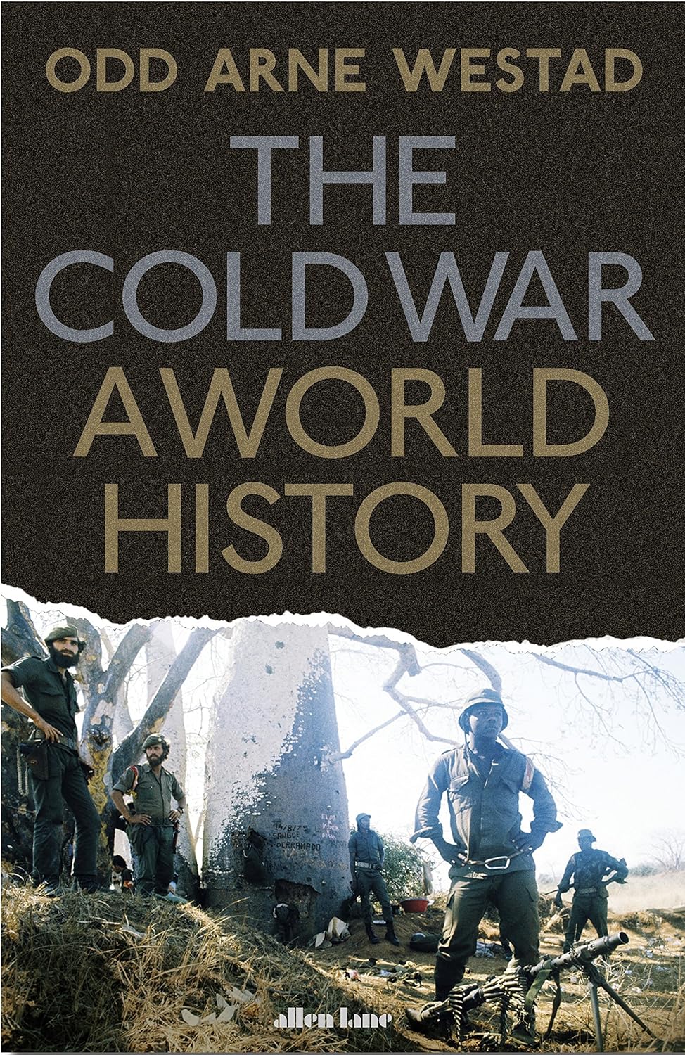 The Cold War by Odd Arne Westad
