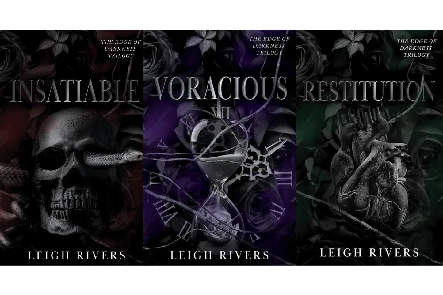 The Edge of Darkness Trilogy Series by Leigh Rivers