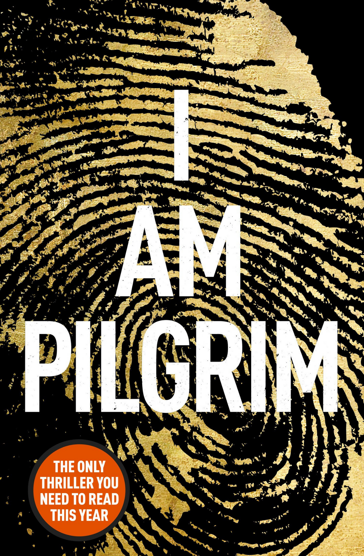 I Am Pilgrim by Terry Hayes book cover
