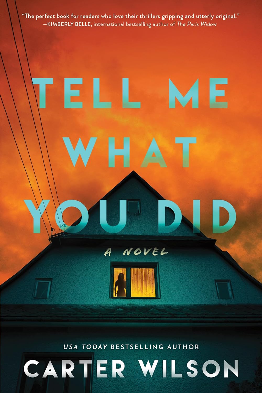 Tell Me What You Did: A Novel Book by Carter Wilson book cover