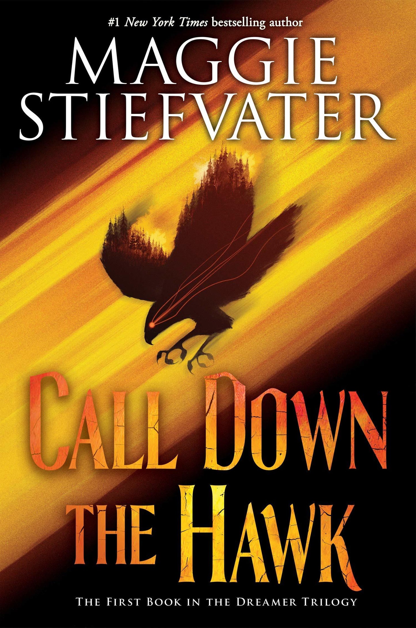 Call Down the Hawk Book by Maggie Stiefvater