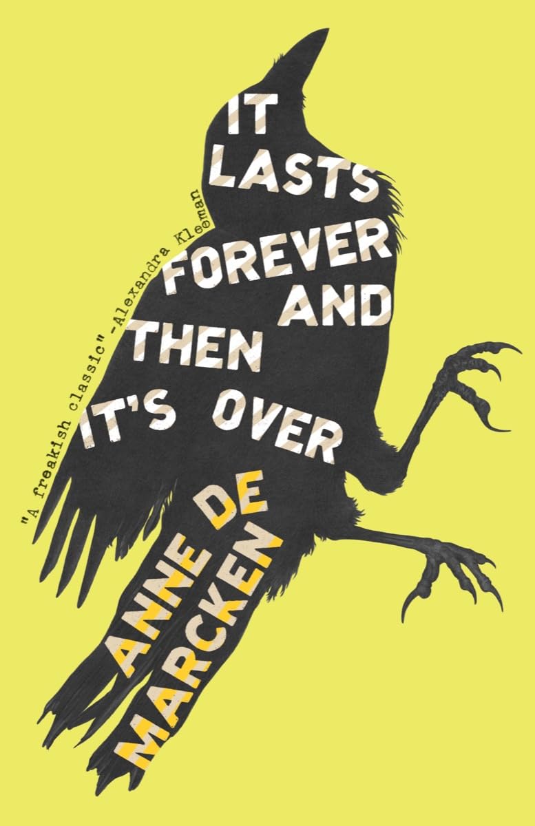 It Lasts Forever and Then It's Over Book by Anne de Marcken book cover