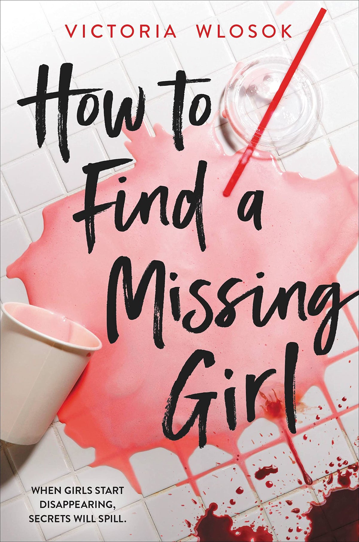 How to Find a Missing Girl Book by Victoria Wlosok book cover