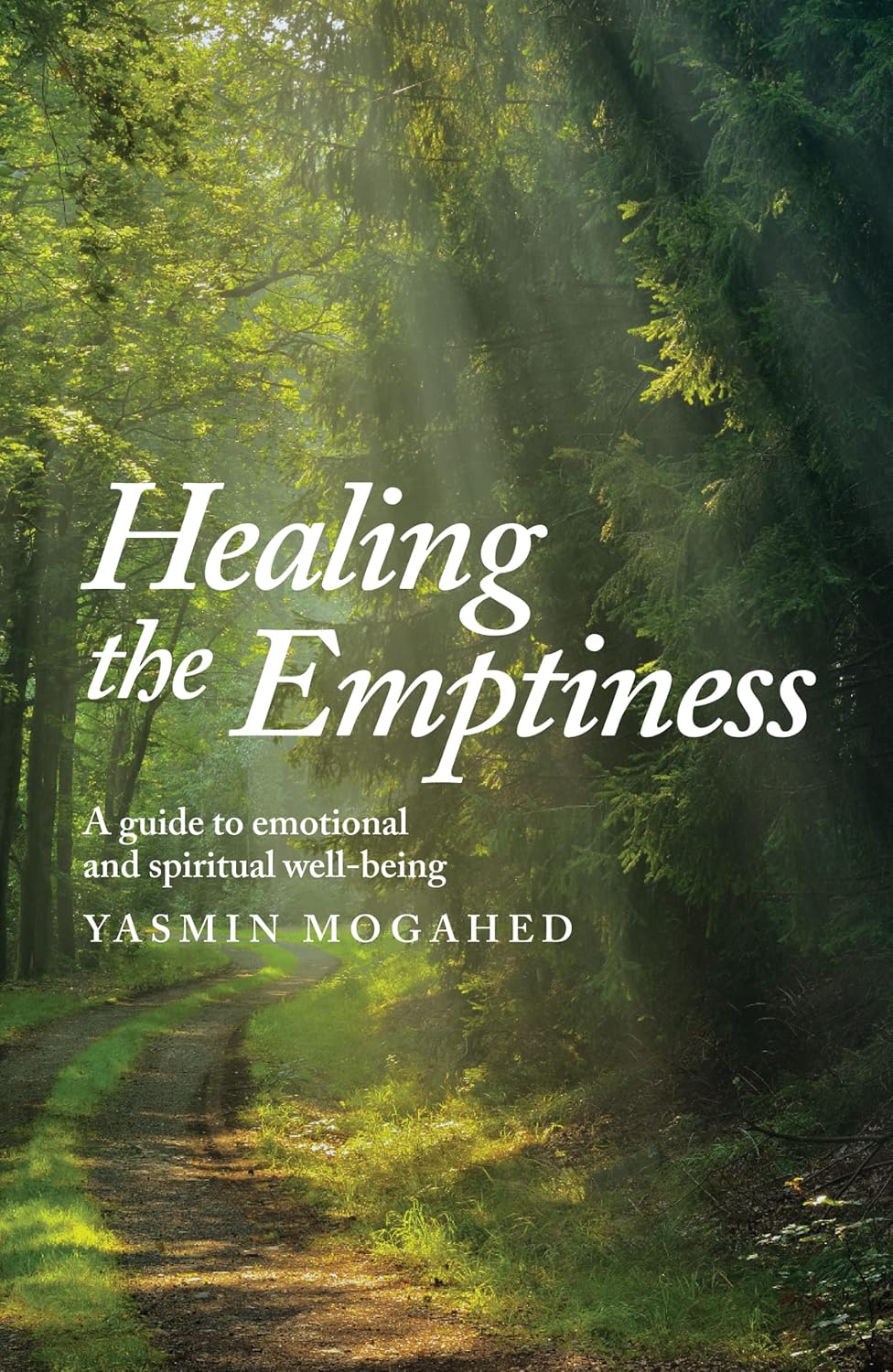 Healing the Emptiness book cover