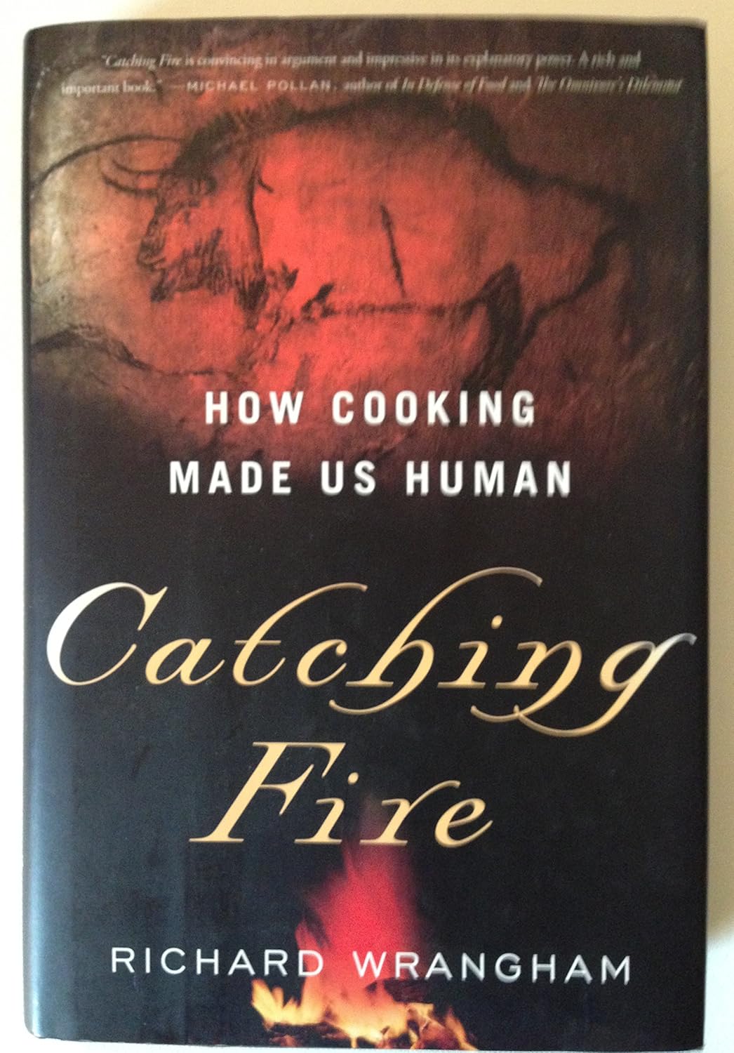Catching Fire- How Cooking Made Us Human