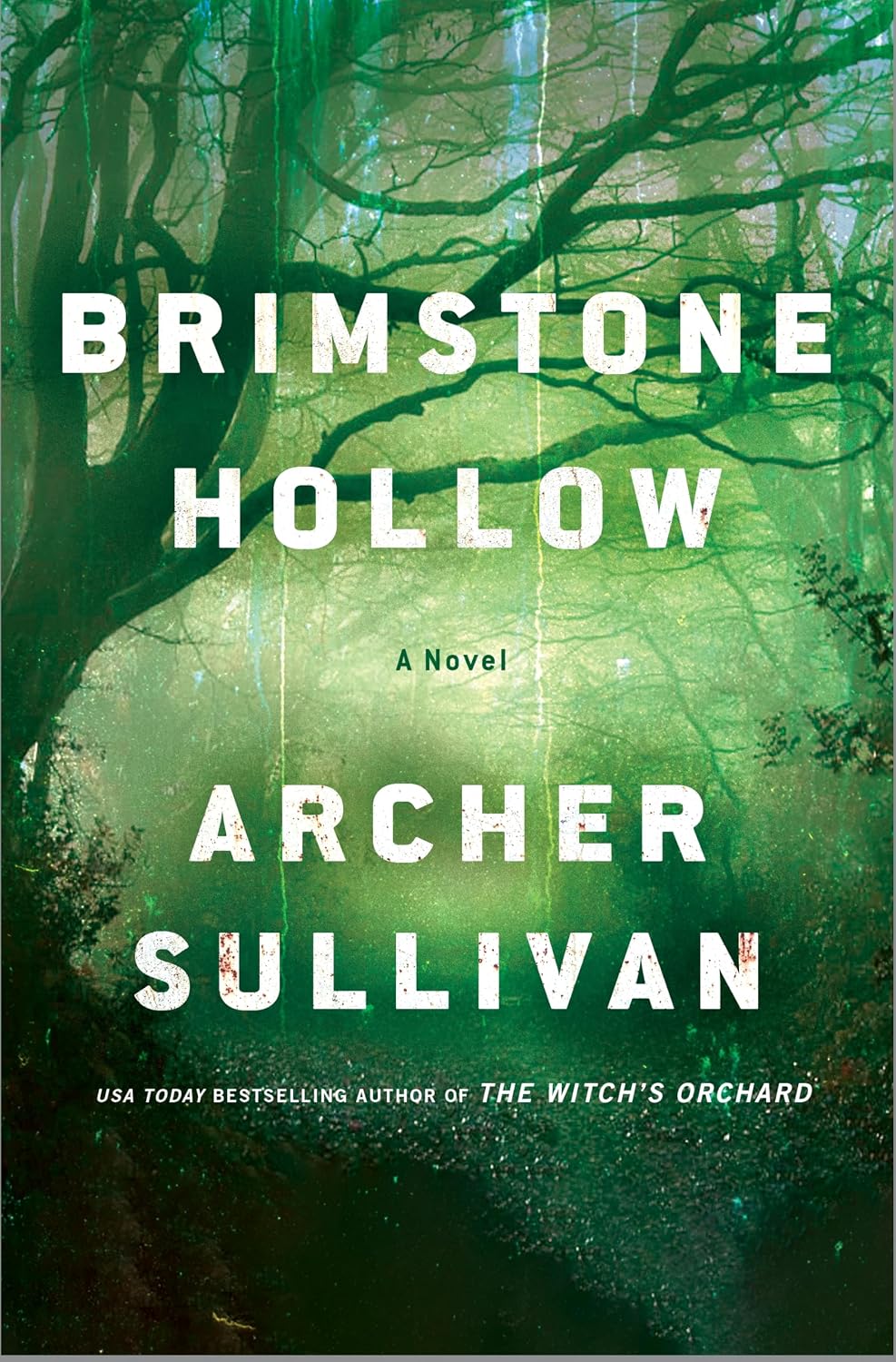 Brimstone Hollow Book by Archer Sullivan