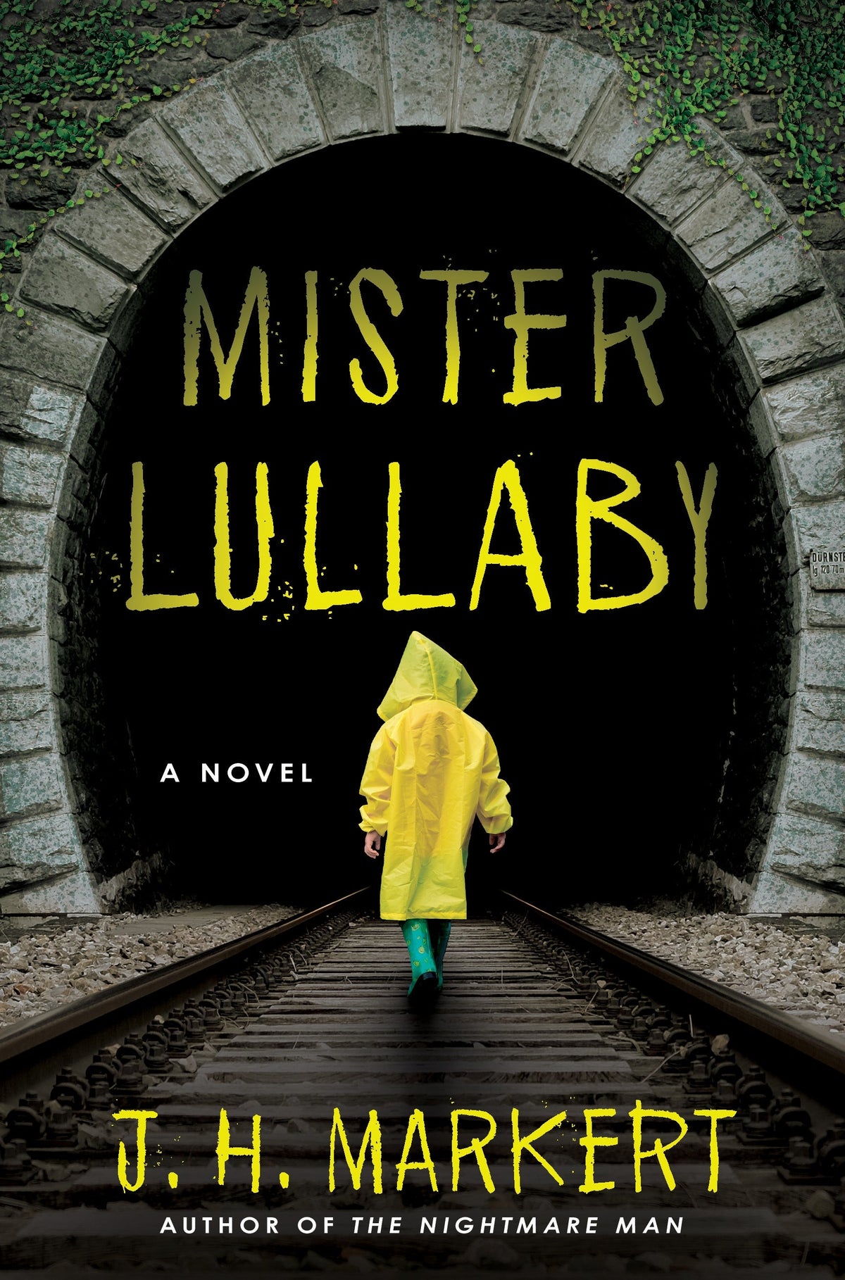 Mister Lullaby: A Novel Book by James Markert book cover