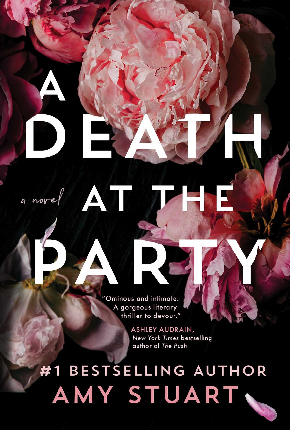 A Death at the Party: A Novel Book by Amy Stuart book cover
