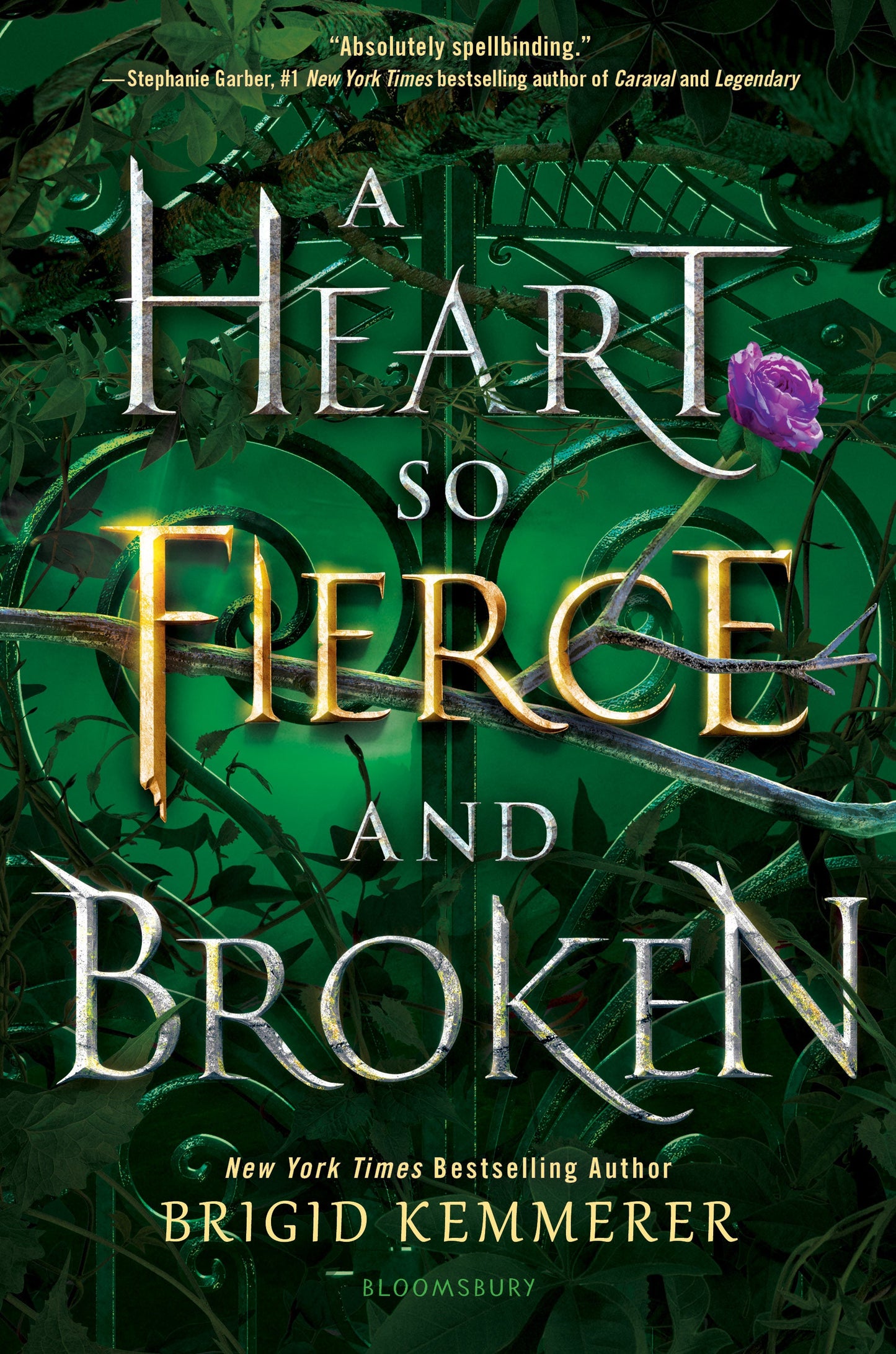 A Heart So Fierce and Broken Book by Brigid Kemmerer
