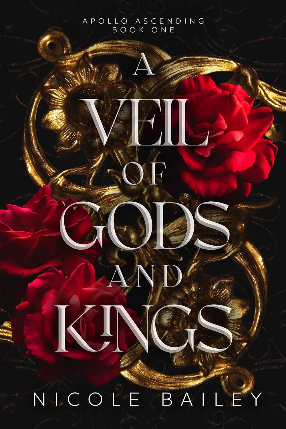 A Veil of Gods and Kings Novel by Nicole Bailey