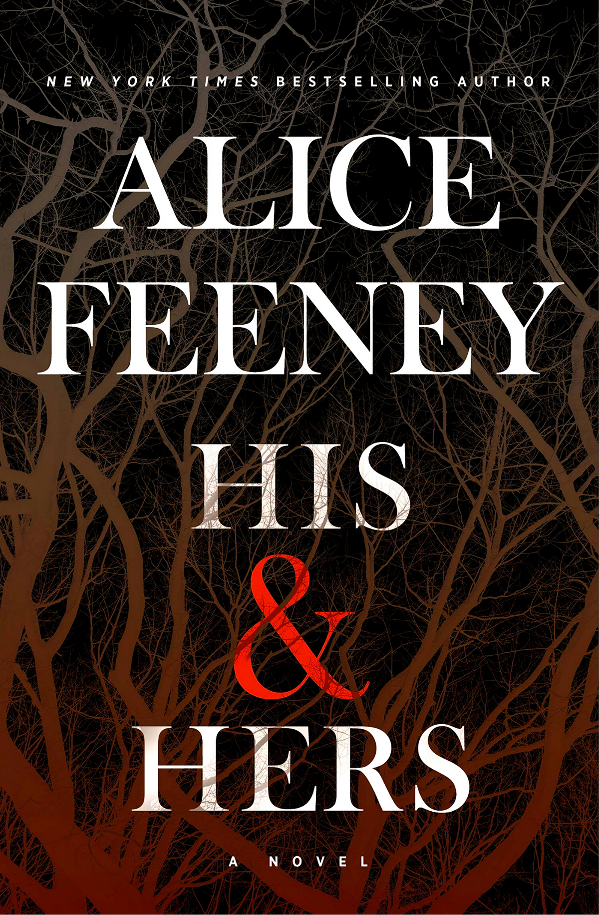 His & Hers by Alice Feeney book cover