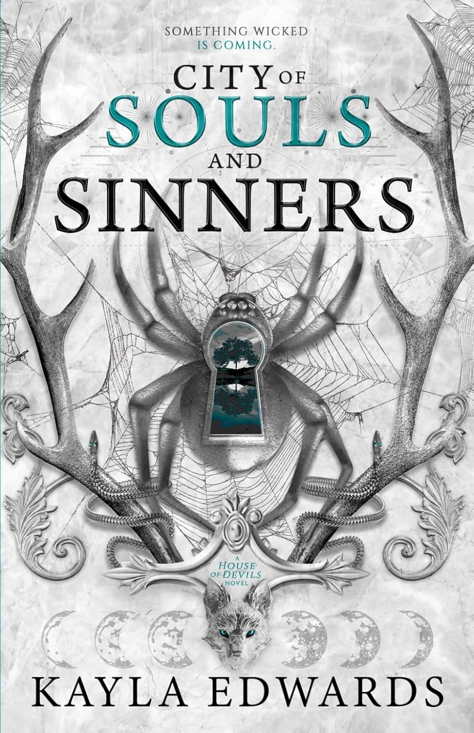 City of Souls and Sinners Book by Kayla Edwards book cover