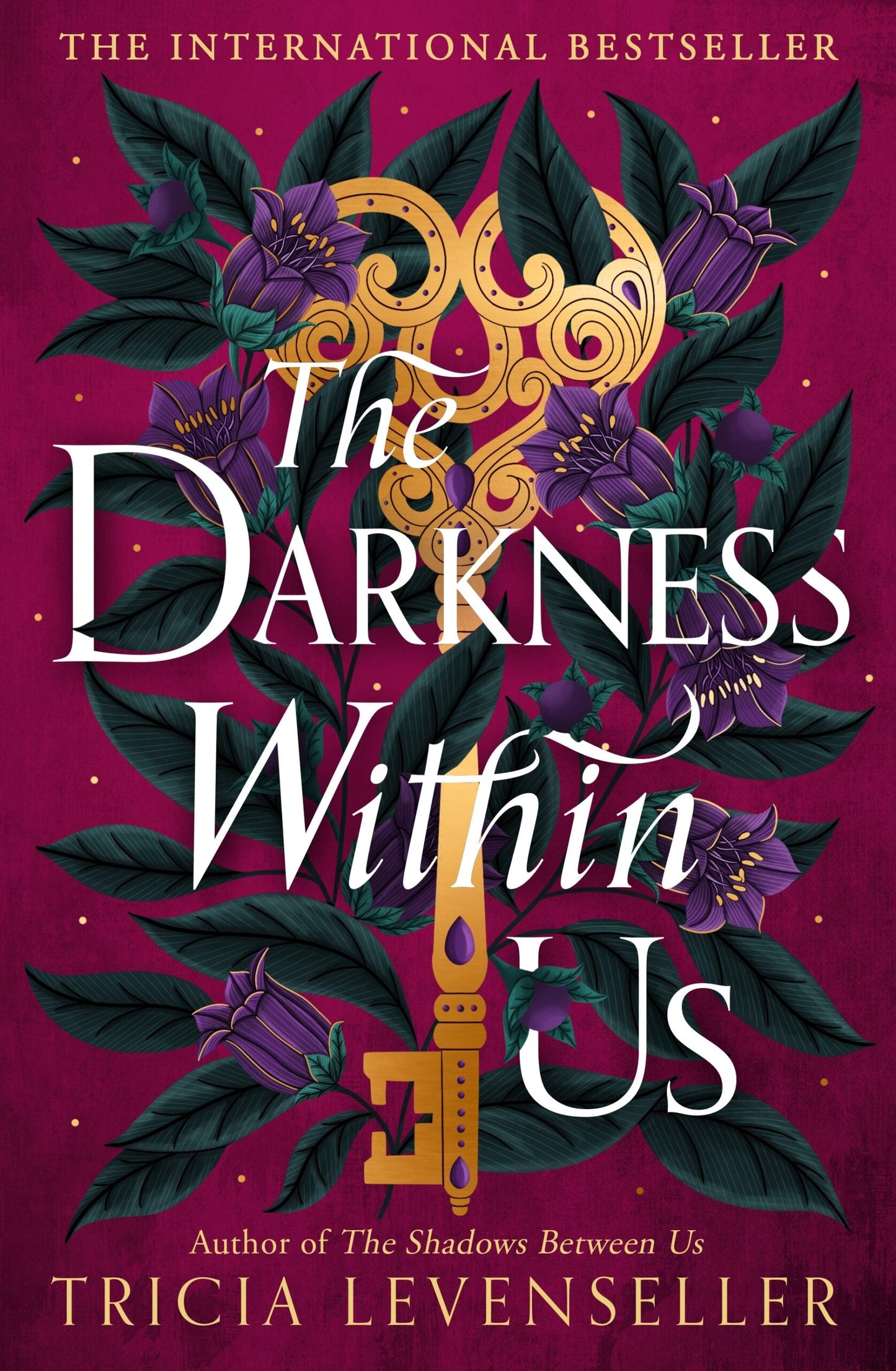 The Darkness Within Us Book by Tricia Levenseller