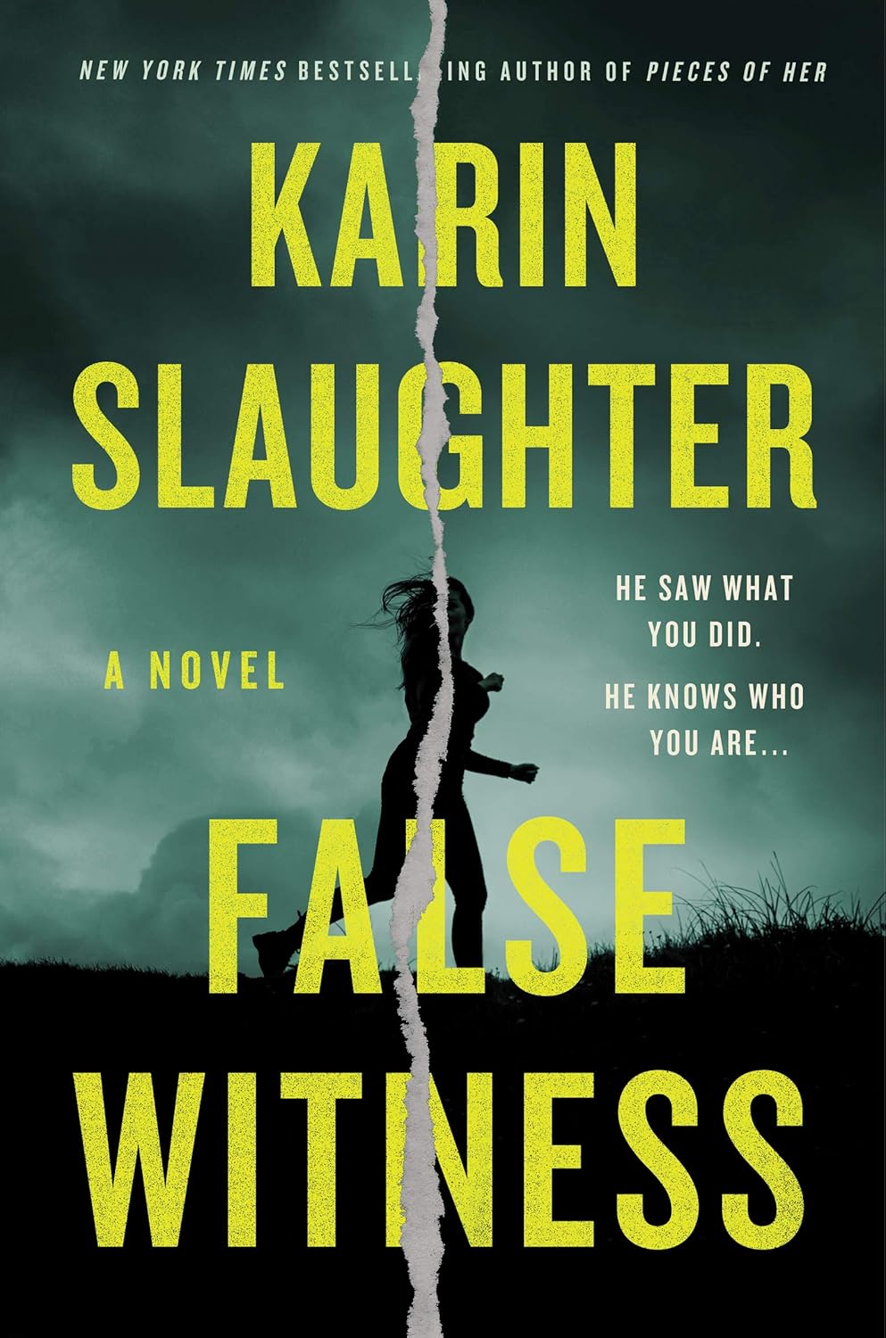 False Witness Novel by Karin Slaughter book cover