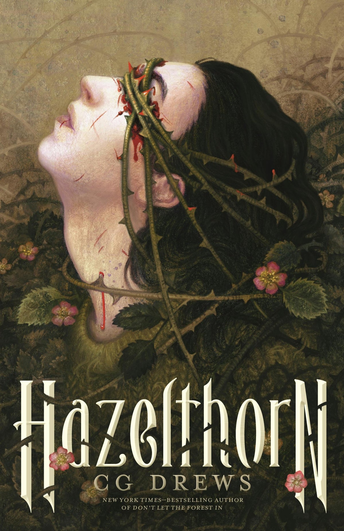 Hazelthorn Novel by CG Drews