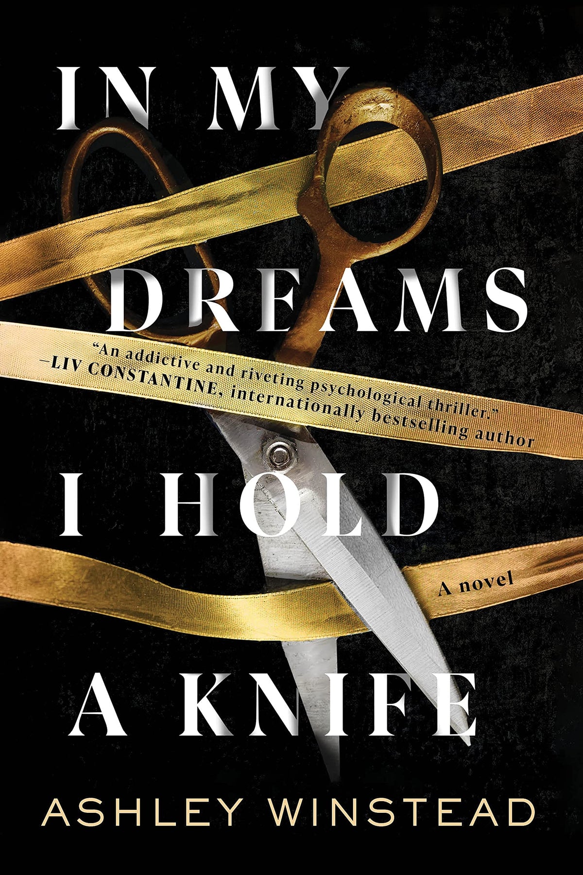 In My Dreams I Hold a Knife: A Novel Book by Ashley Winstead book cover