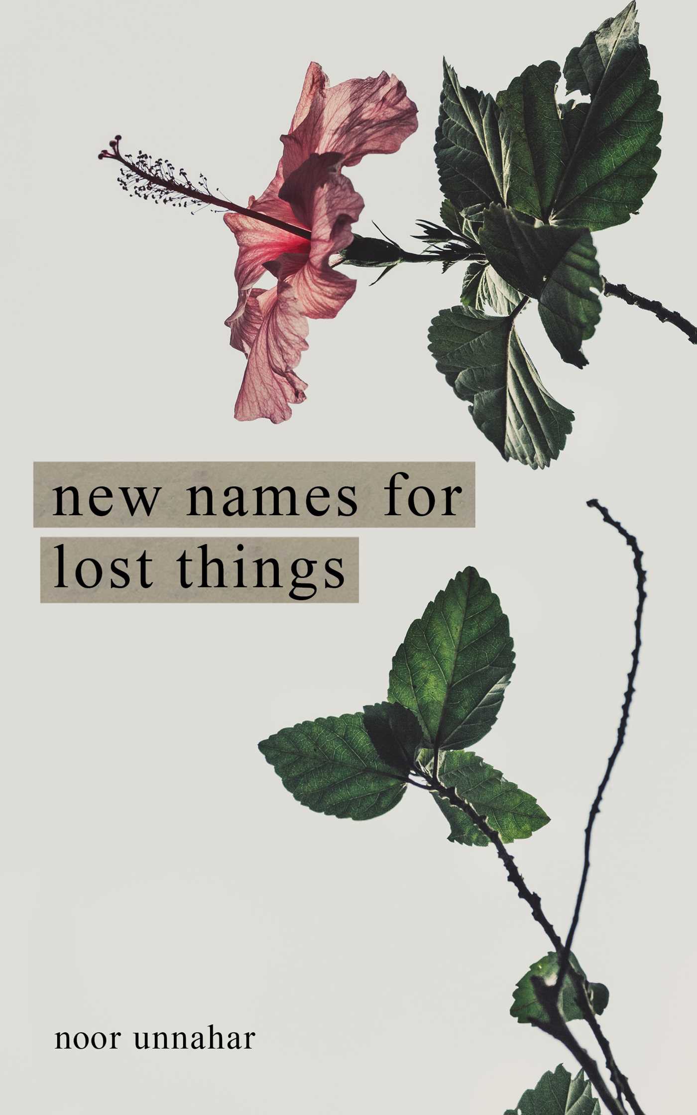 New Names for Lost Things Book by Noor Unnahar