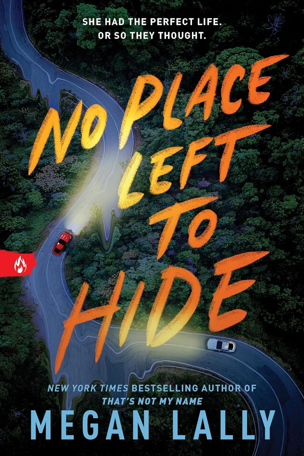 No Place Left to Hide Book by Megan Lally book cover