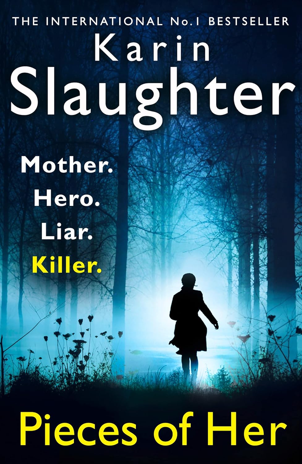 Pieces of Her Novel by Karin Slaughter book cover