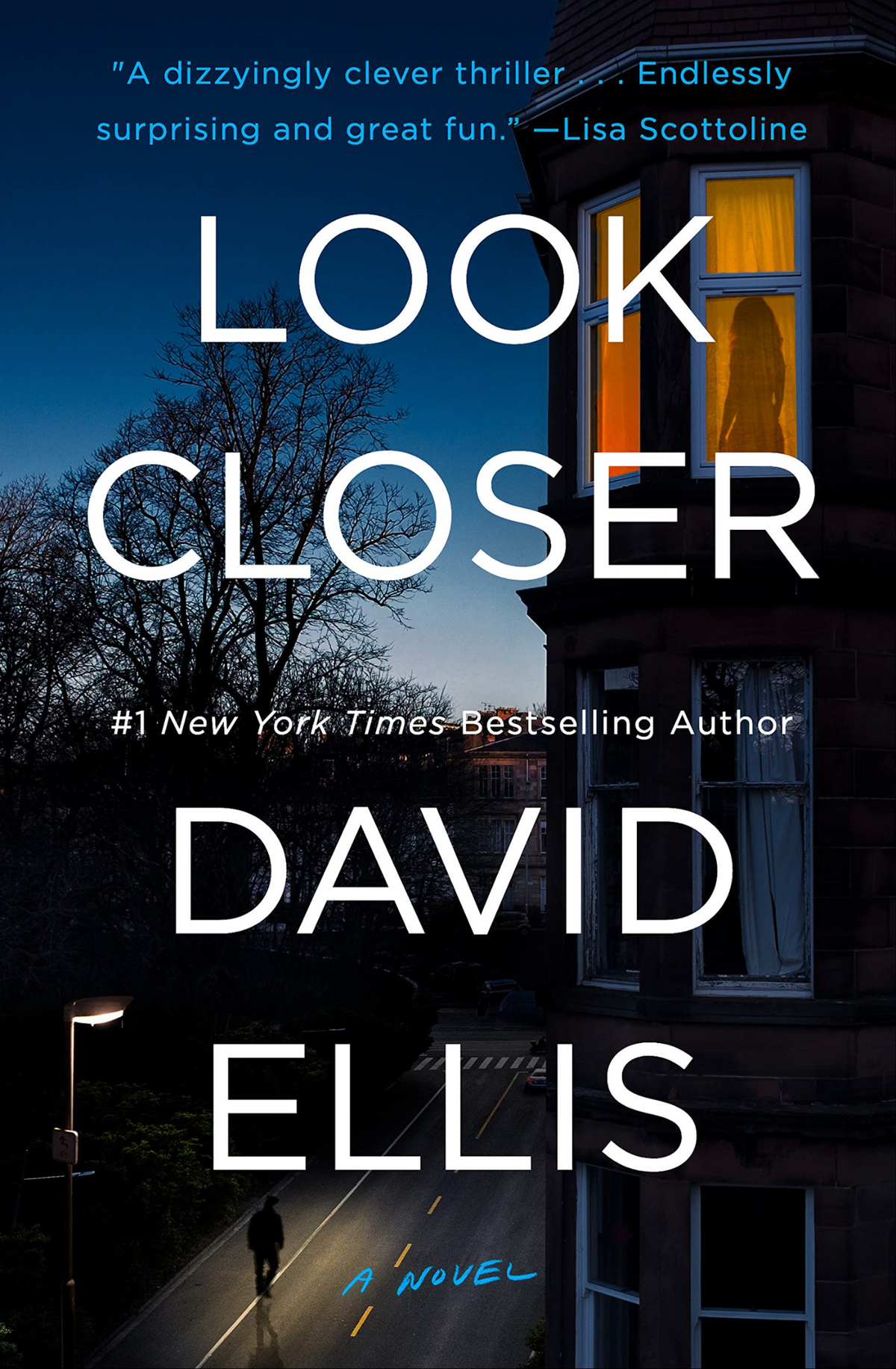 Look Closer Book by David Ellis book cover