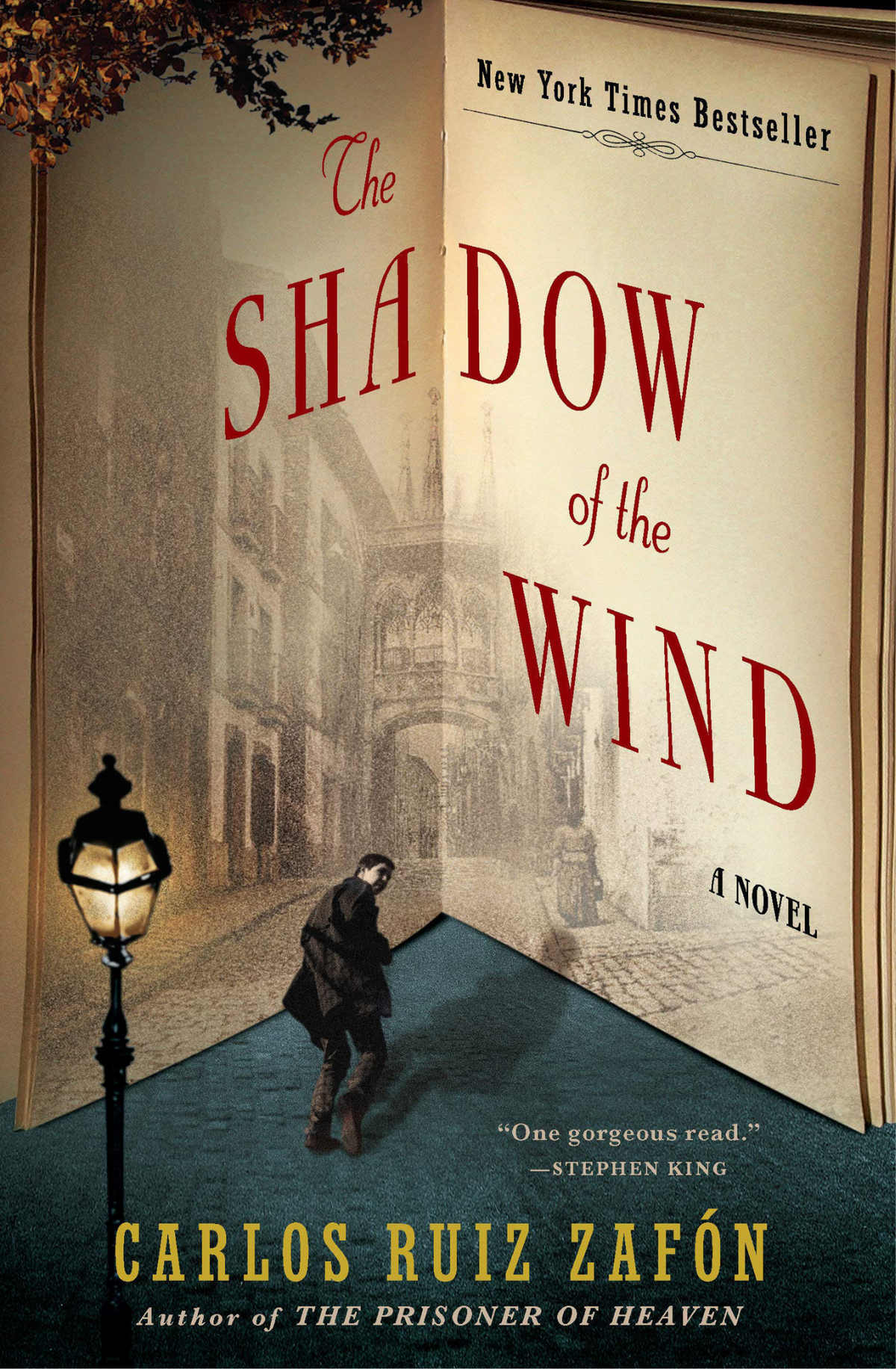 The Shadow of the Wind Novel by Carlos Ruiz Zafón book cover