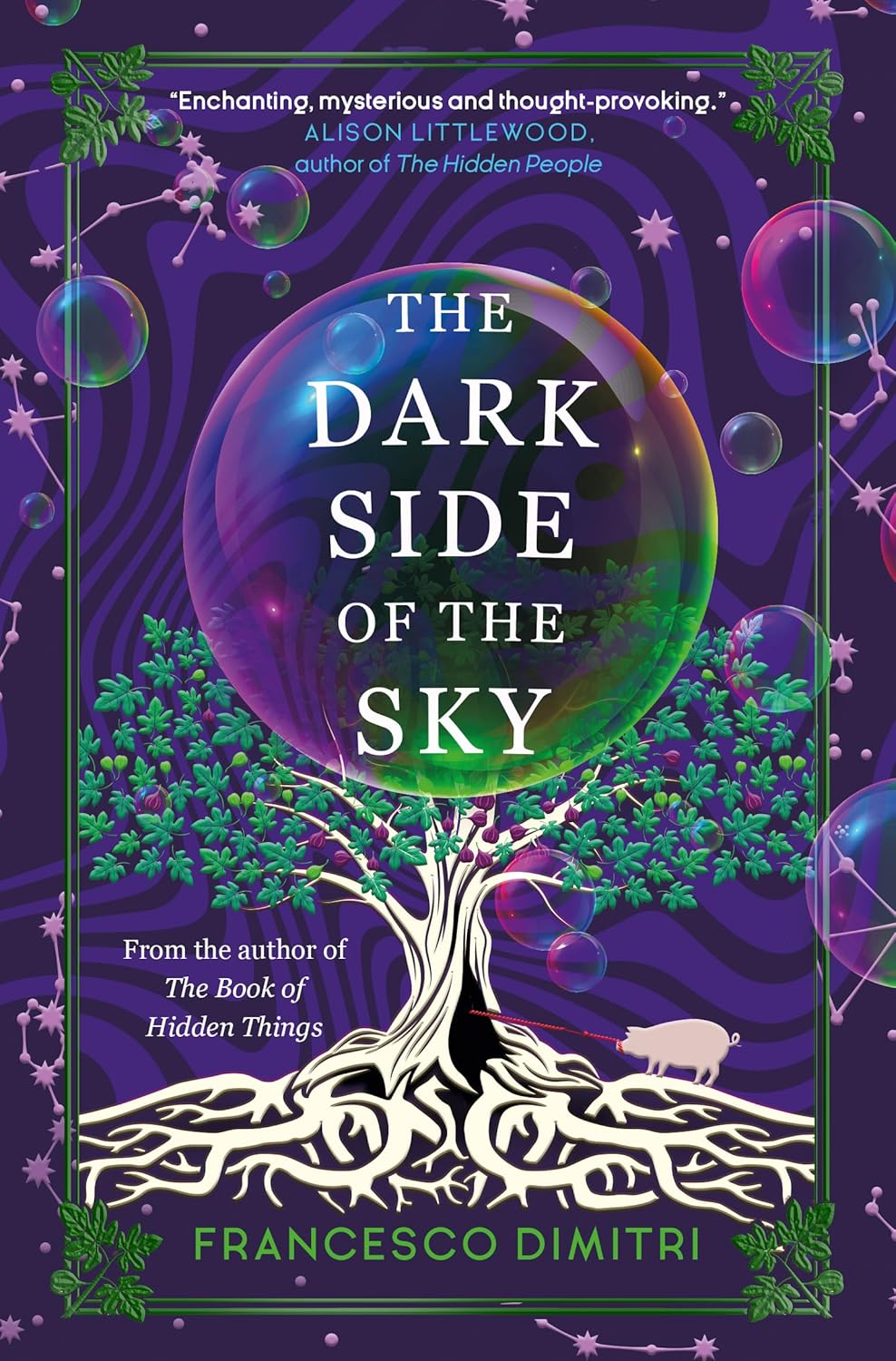 The Dark Side of the Sky Book by Francesco Dimitri book cover