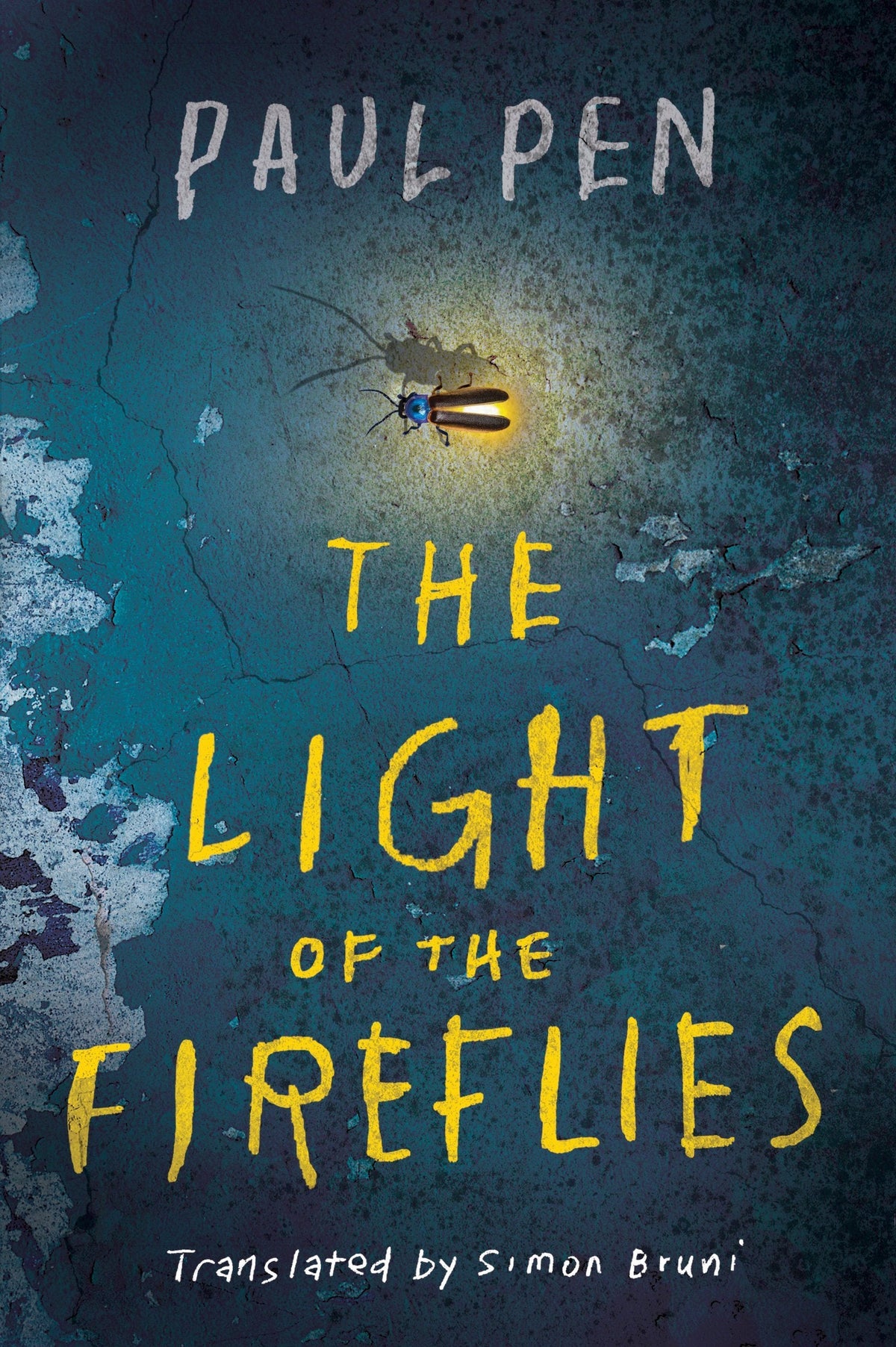 The Light of the Fireflies Book by Paul Pen book cover
