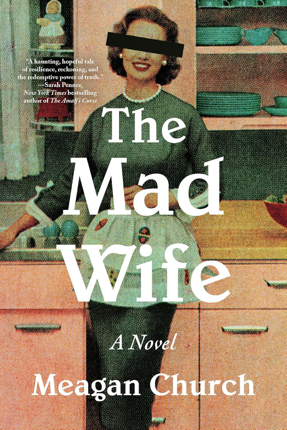 The Mad Wife: A Novel by Meagan Church book cover