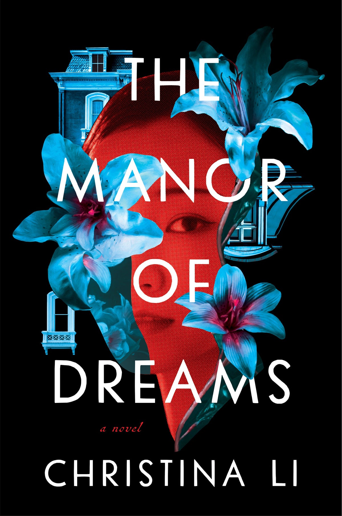 The Manor of Dreams Book by Christina Li book cover