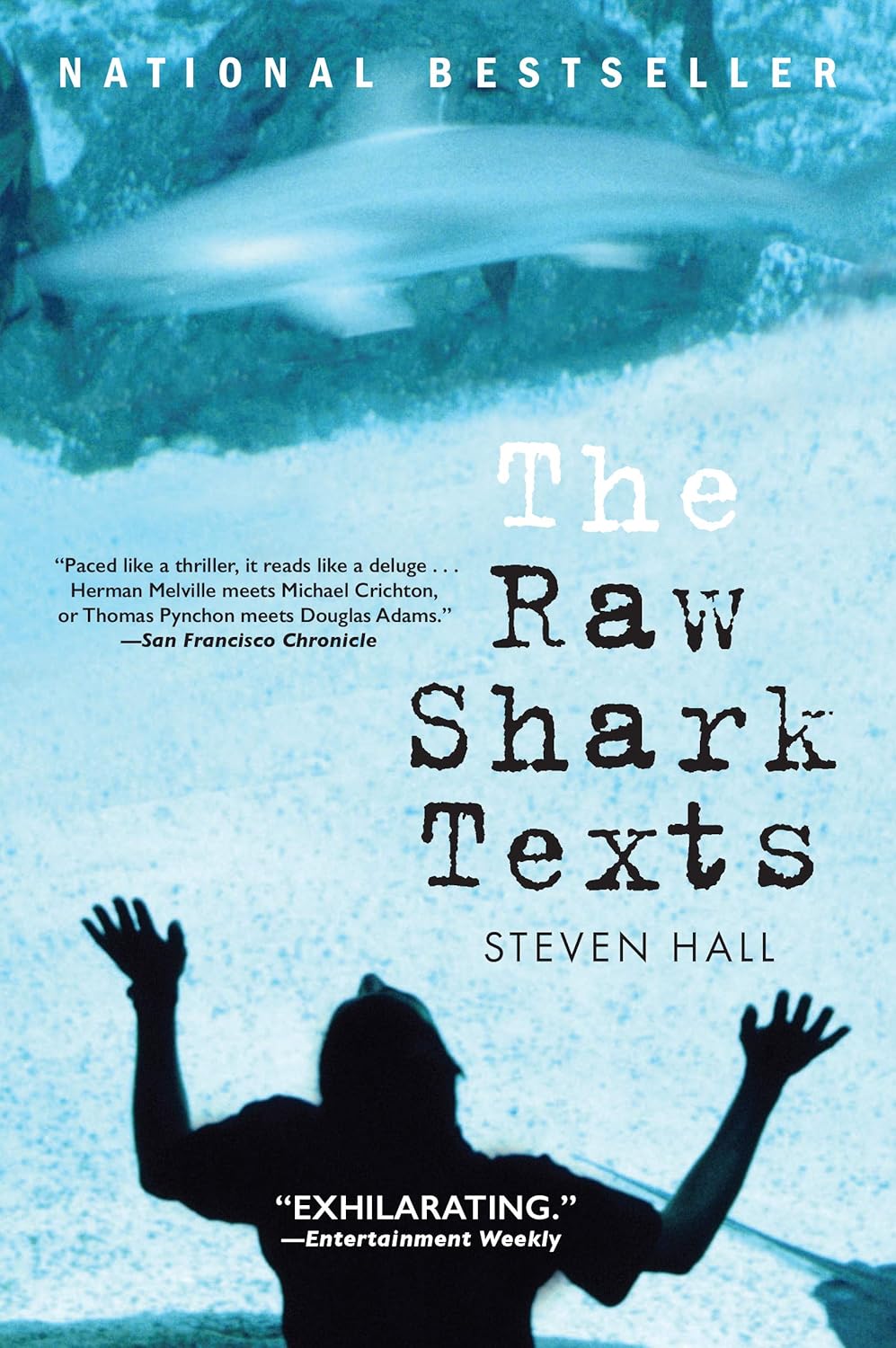 The Raw Shark Texts Novel by Steven Hall book cover