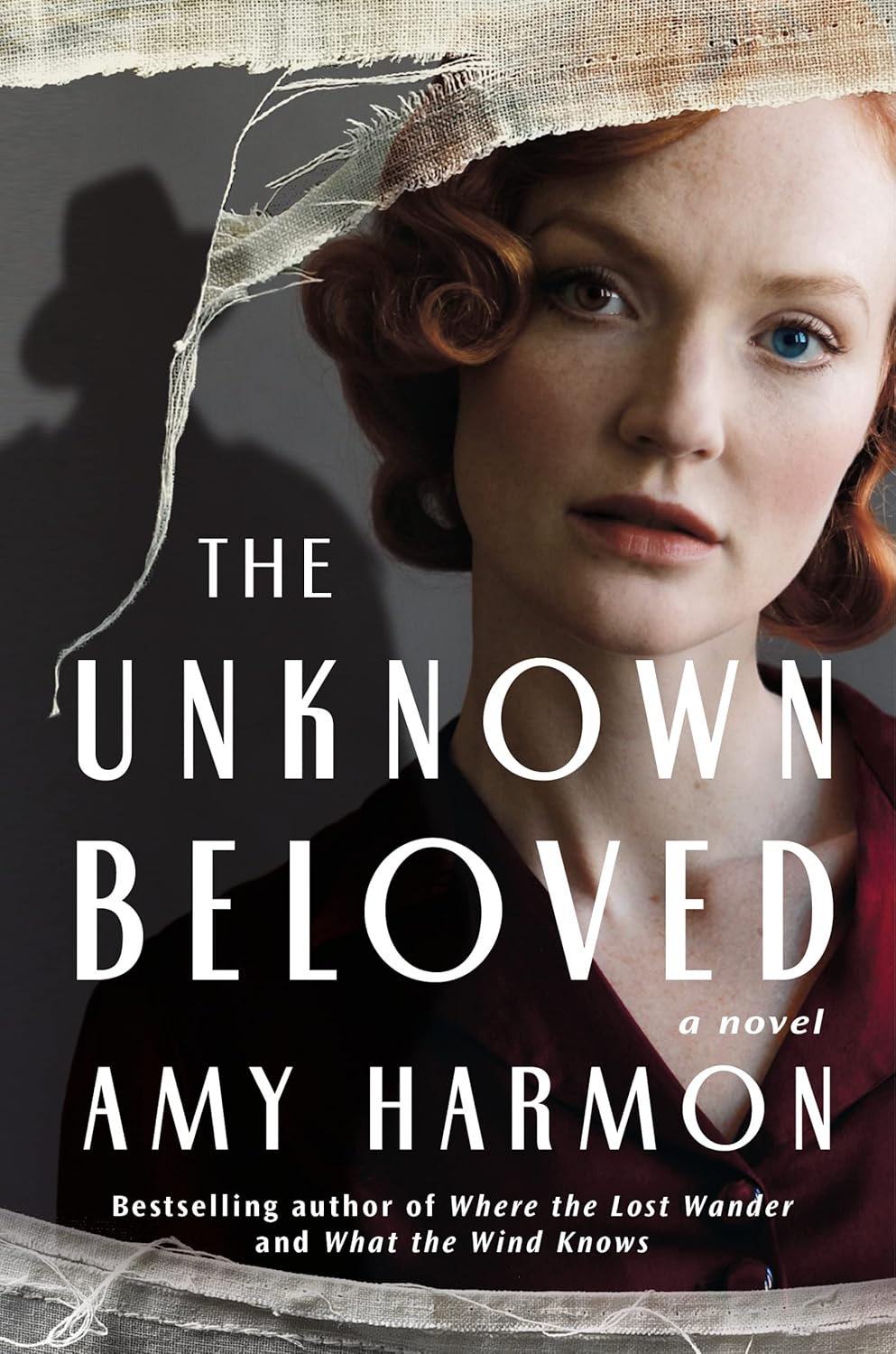 The Unknown Beloved: A Novel by Amy Harmon book cover