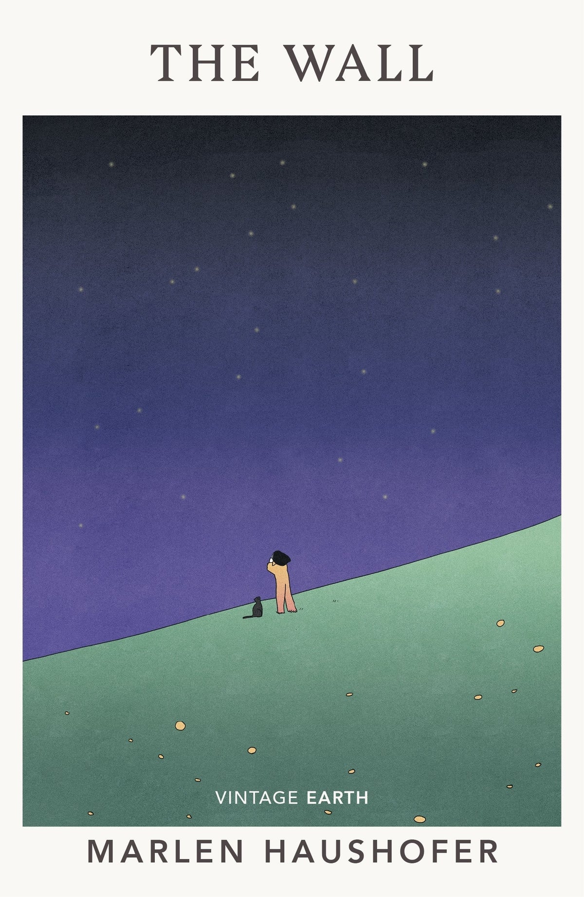 The Wall Novel by Marlen Haushofer book cover