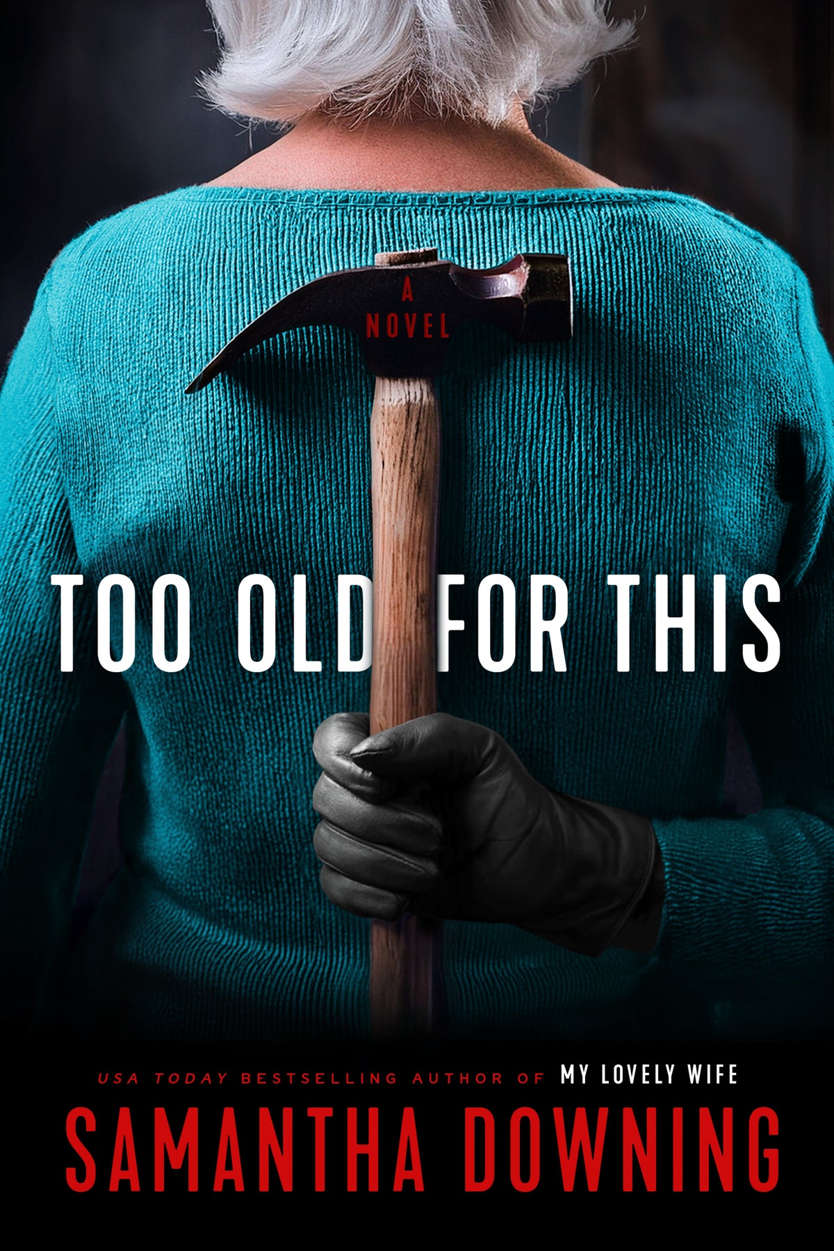 Too Old for This Book by Samantha Downing book cover