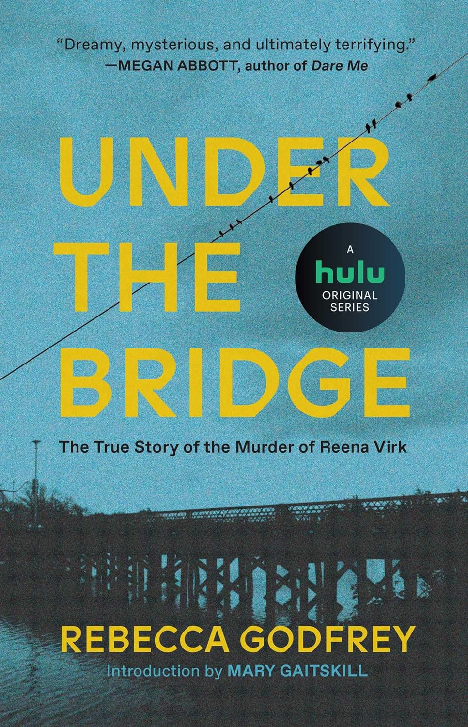 Under the Bridge Book by Rebecca Godfrey book cover