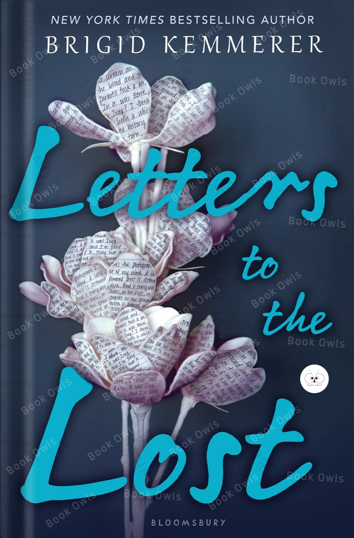 Letters to the Lost Book by Brigid Kemmerer