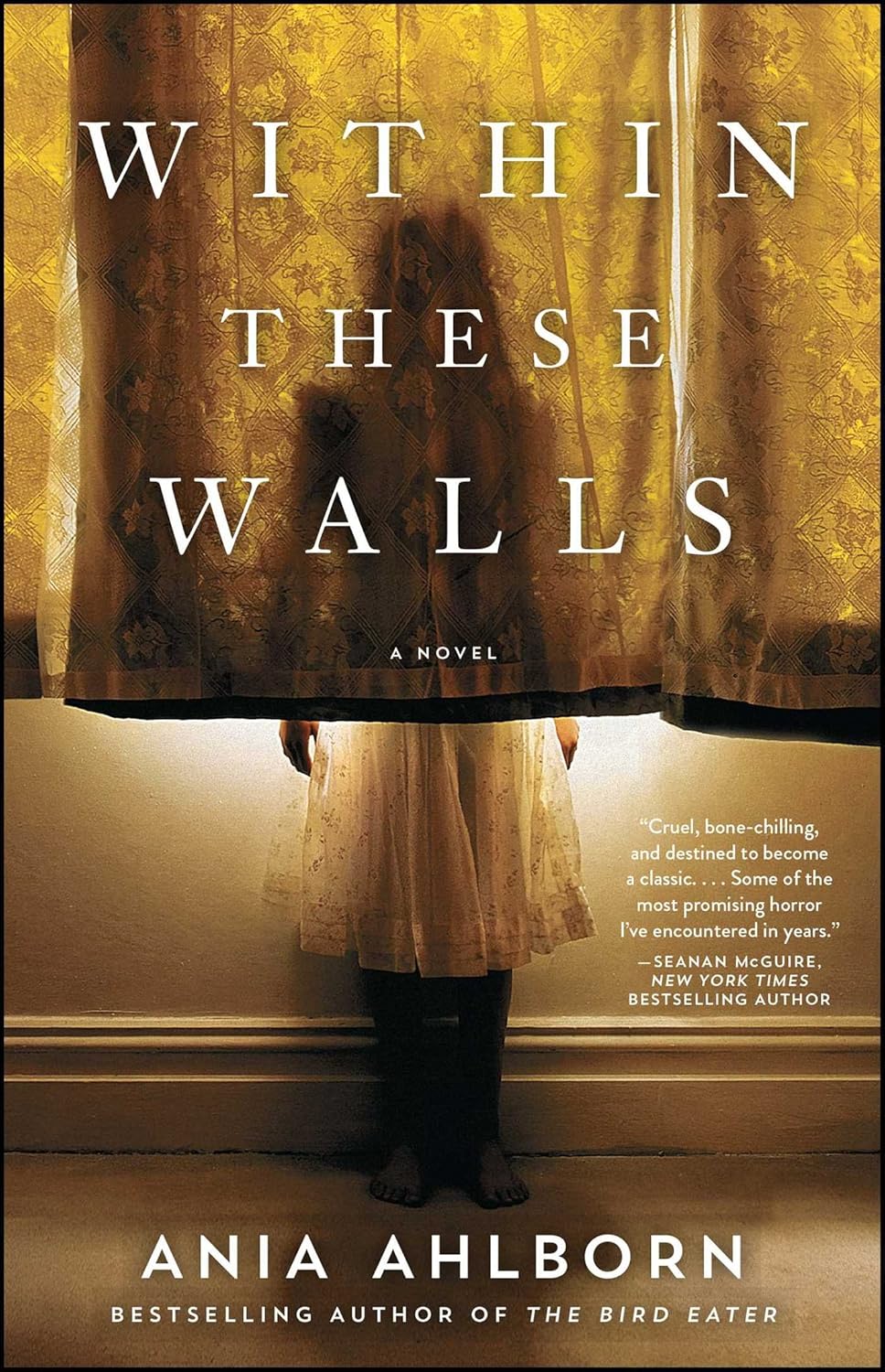 Within These Walls Book by Ania Ahlborn book cover