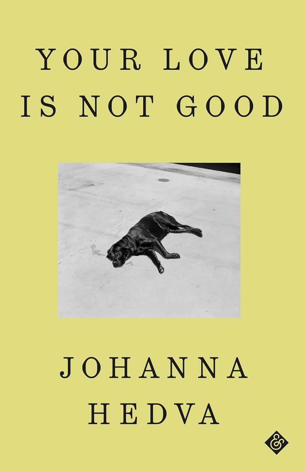 Your Love Is Not Good Book by Johanna Hedva book cover
