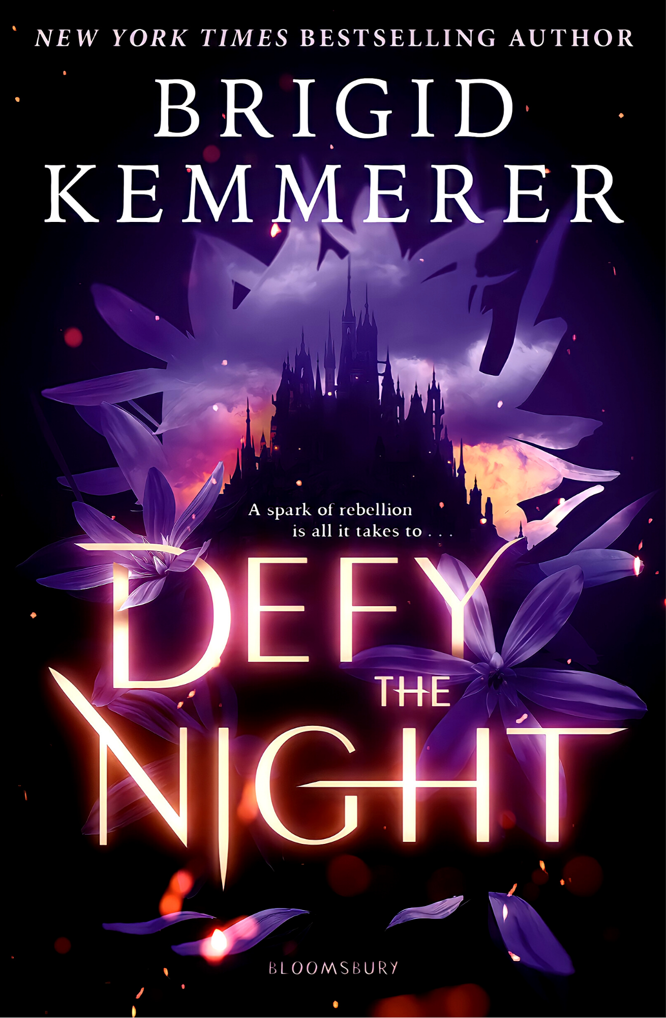 Defy the Night Book by Brigid Kemmerer