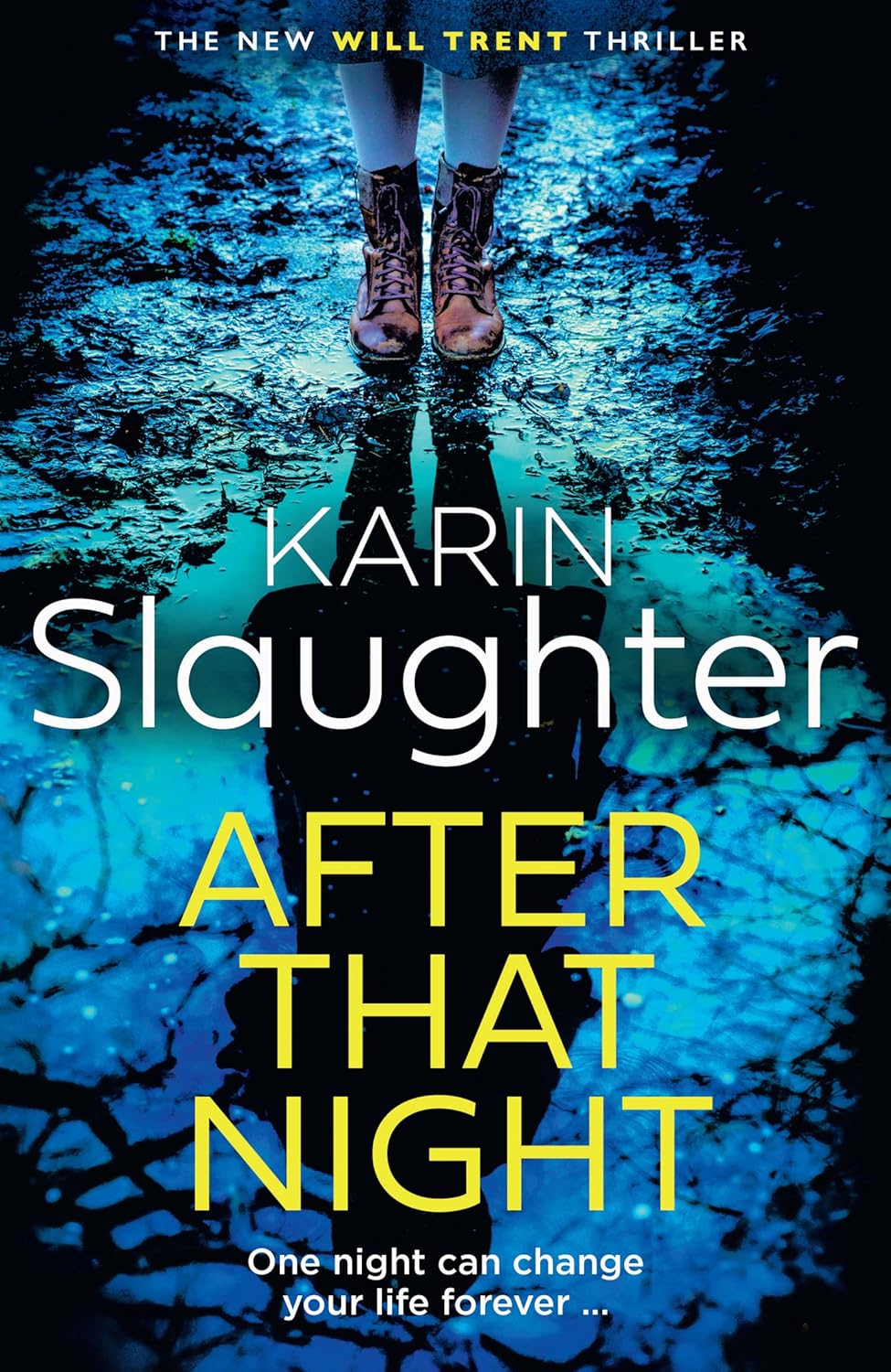 After That Night Book by Karin Slaughter book cover