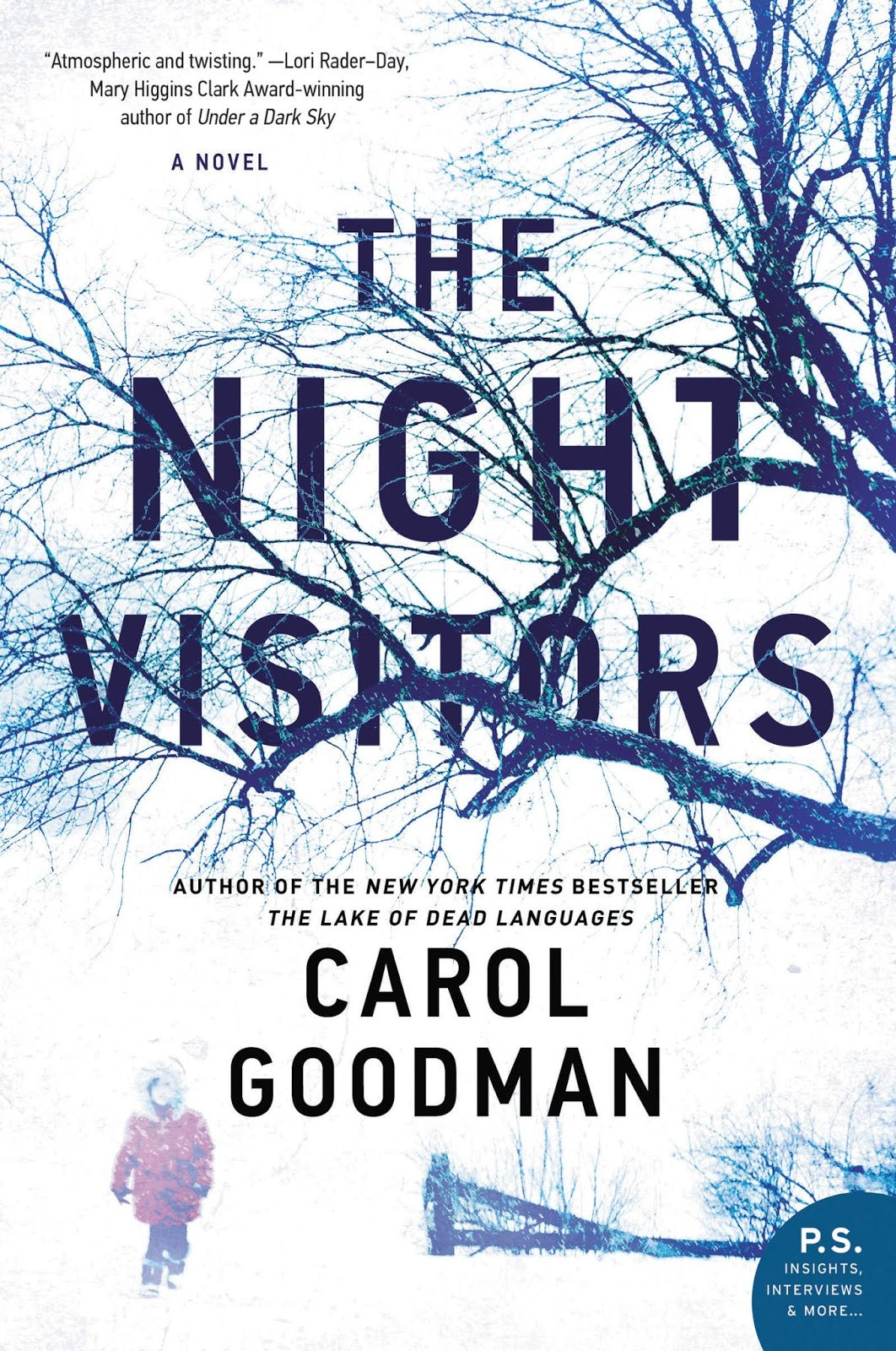 The Night Visitors Book by Carol Goodman book cover