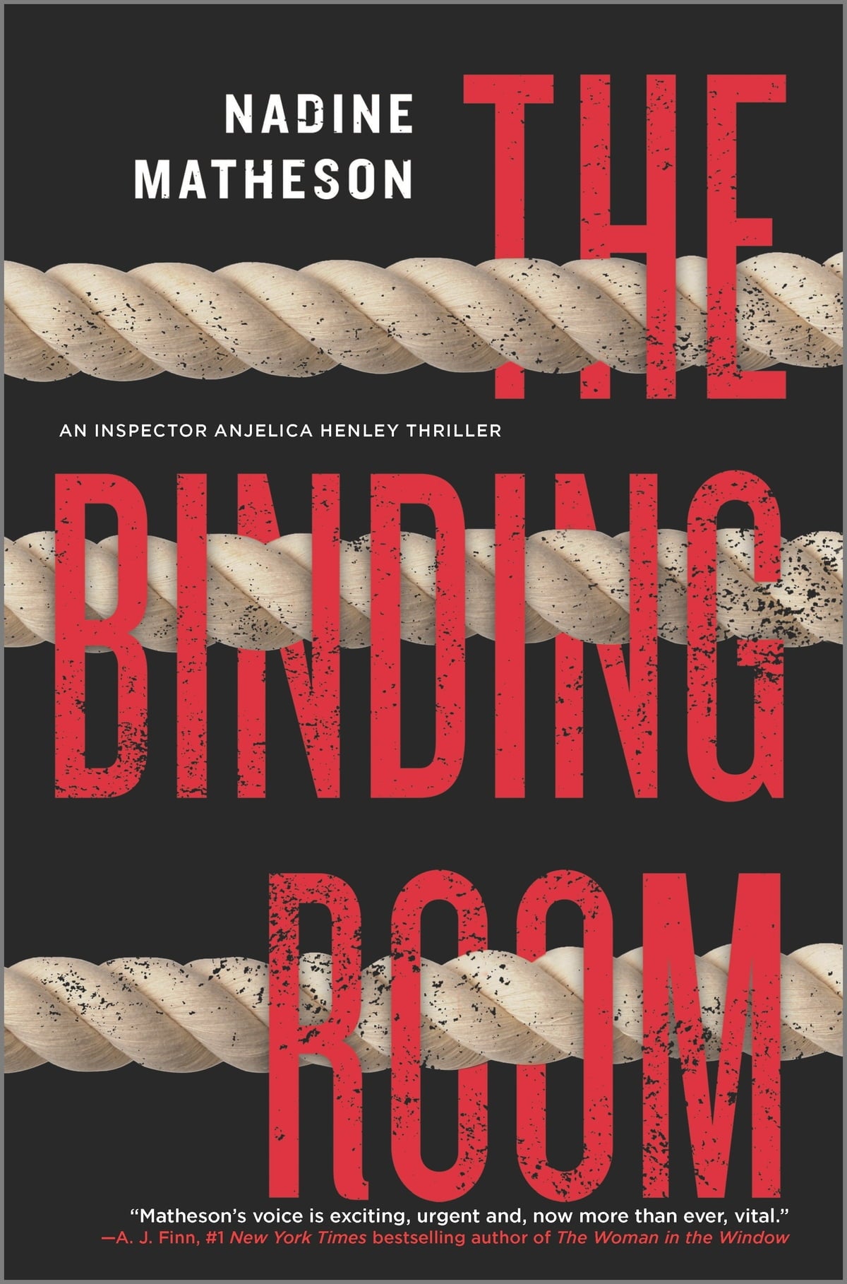 The Binding Room: A Novel Book by Nadine Matheson book cover