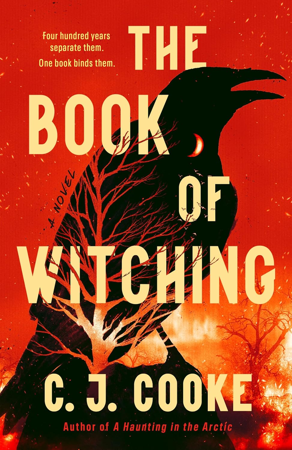 The Book of Witching Book by C. J. Cooke