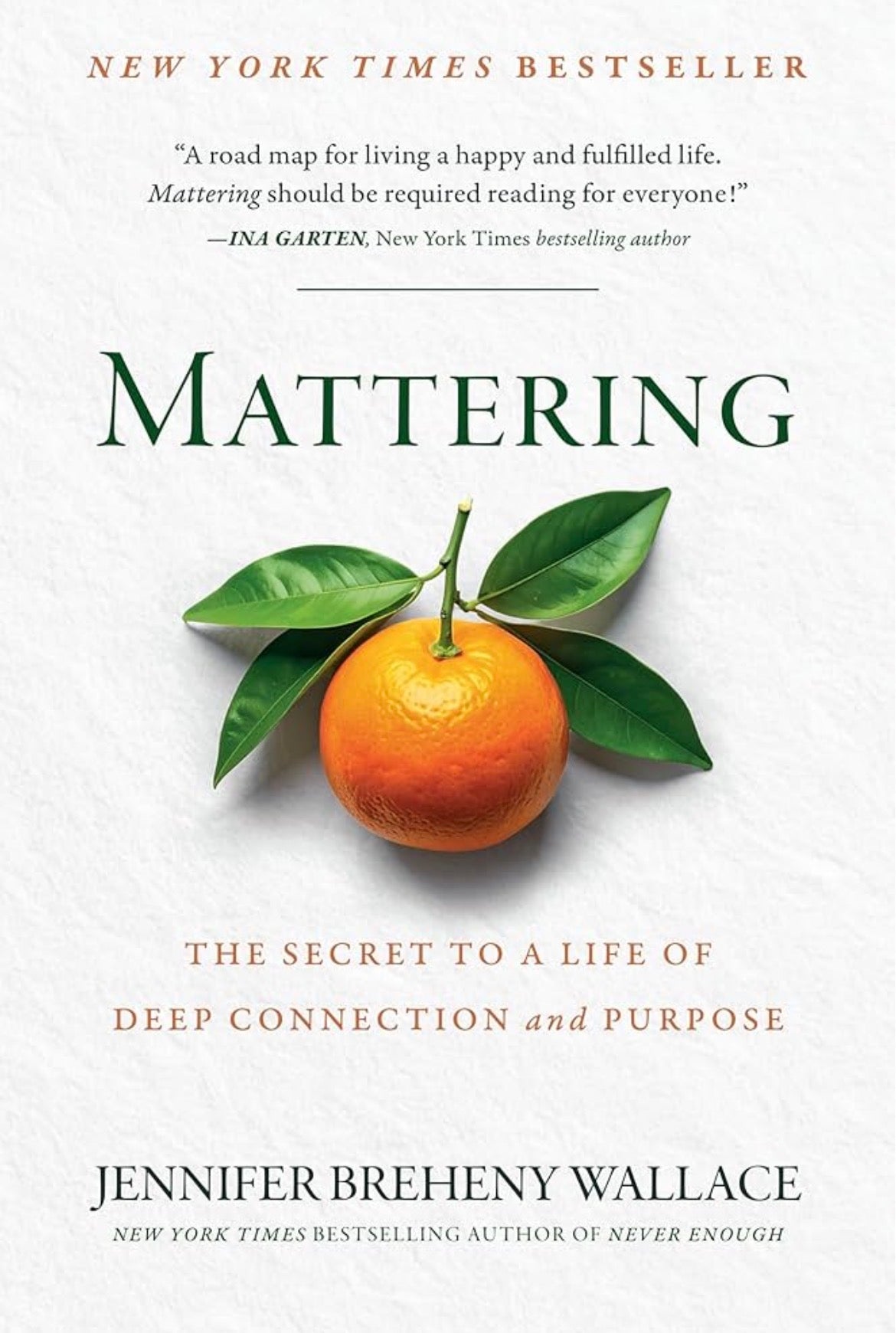 Mattering: The Secret to a Life of Deep Connection and Purpose
By Jennifer Breheny Wallace