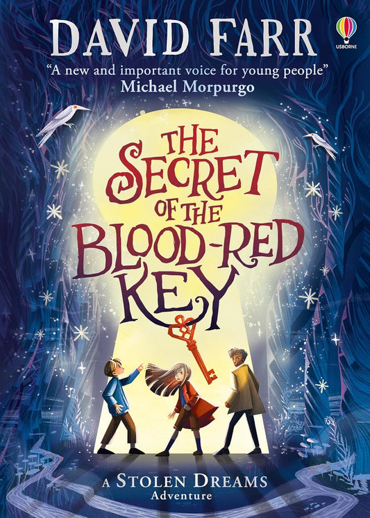 The Secret of the Blood-Red Key by David Farr book cover