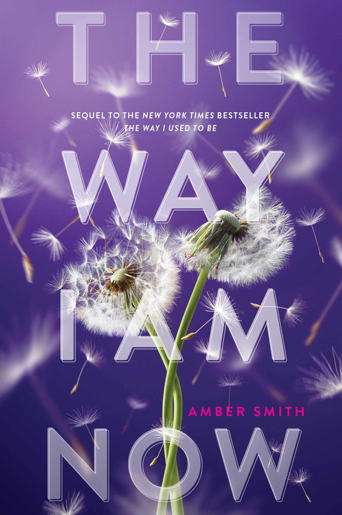 The Way I Am Now Book by Amber Smith