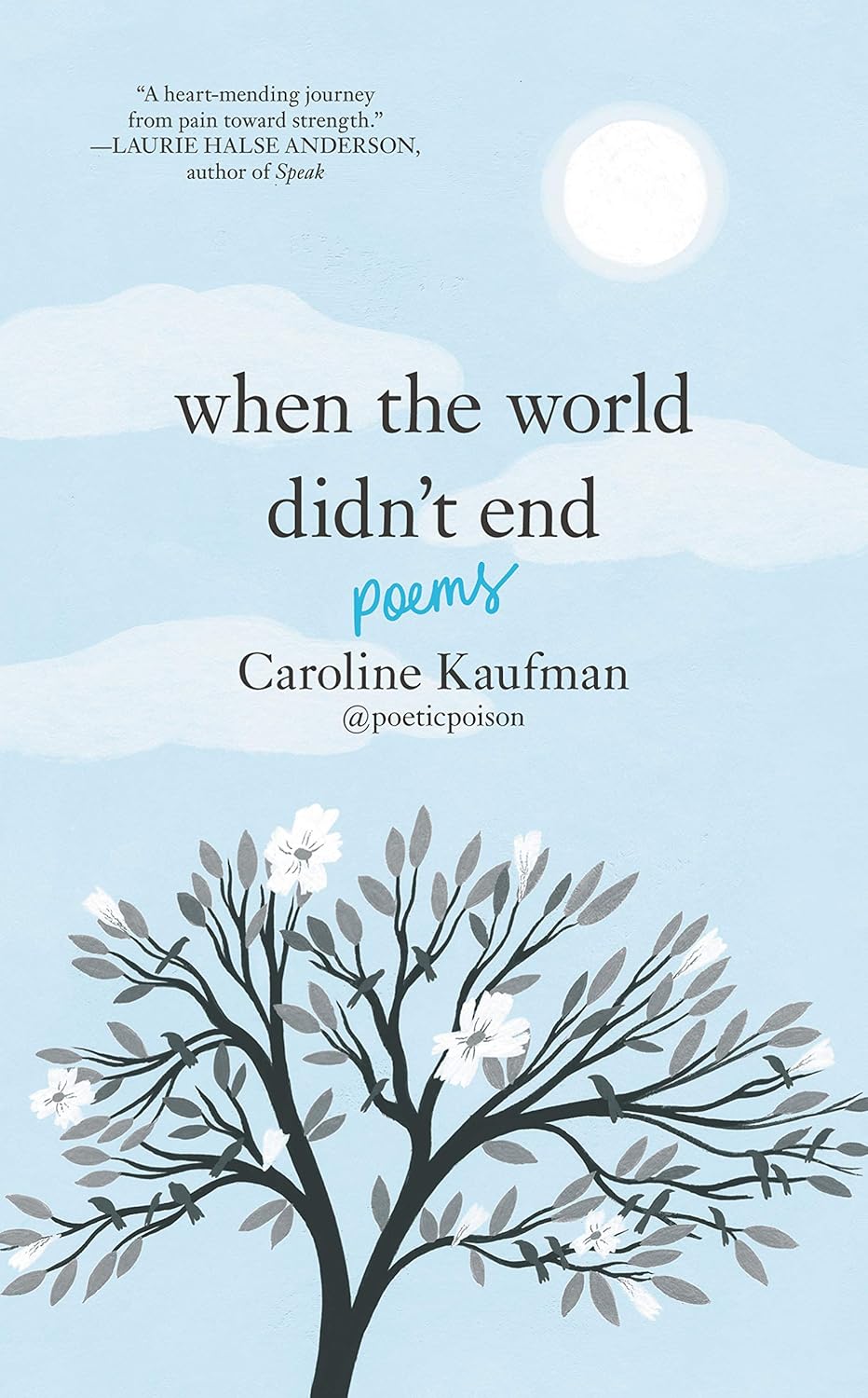 When the World Didn't End: Poems Book by Caroline Kaufman