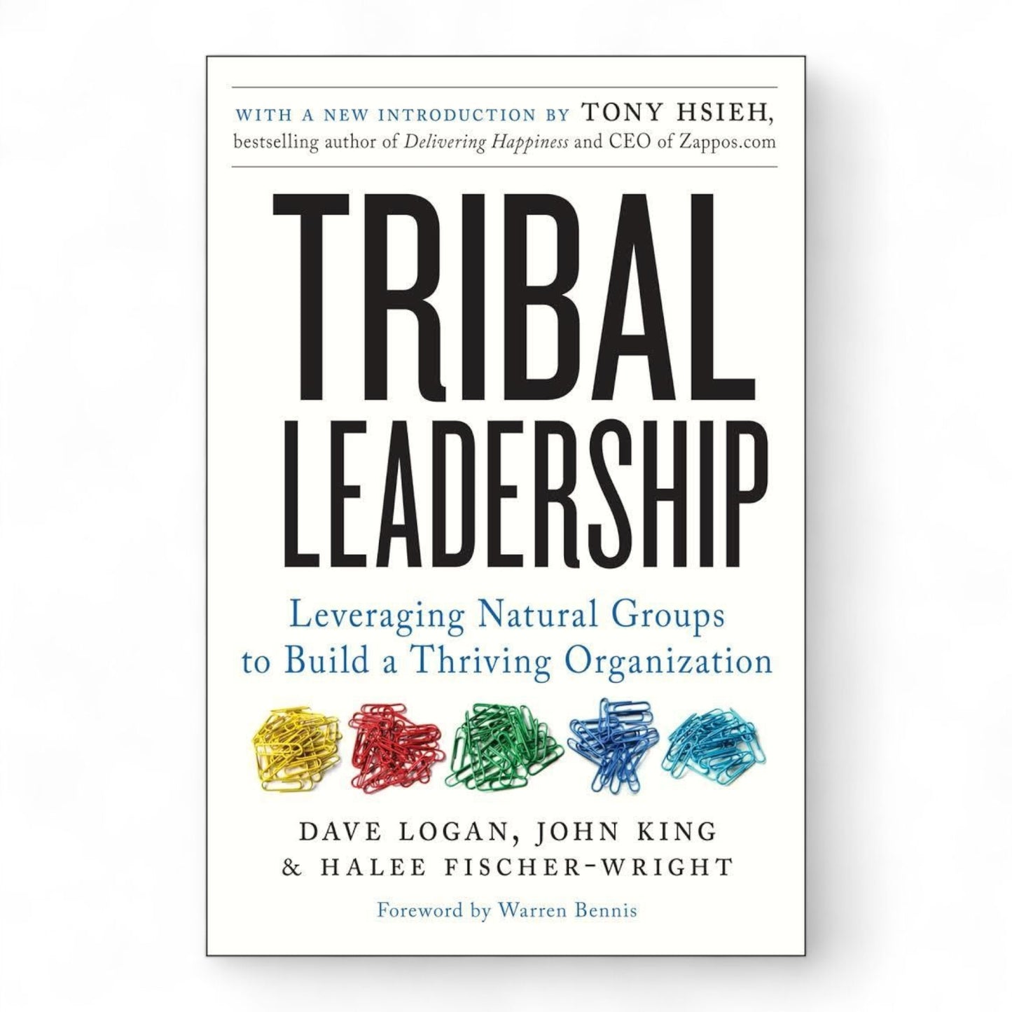 Tribal Leadership: Leveraging Natural Groups to Build a Thriving Organization
