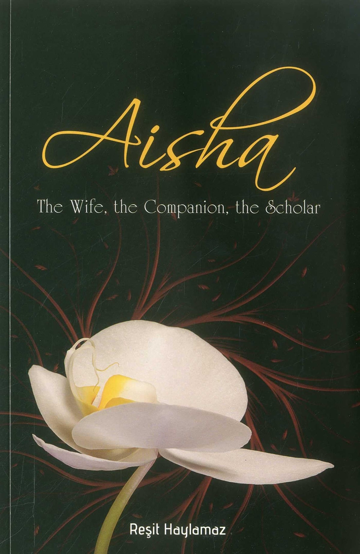 Aisha: The Wife, The Companion, The Scholar book cover