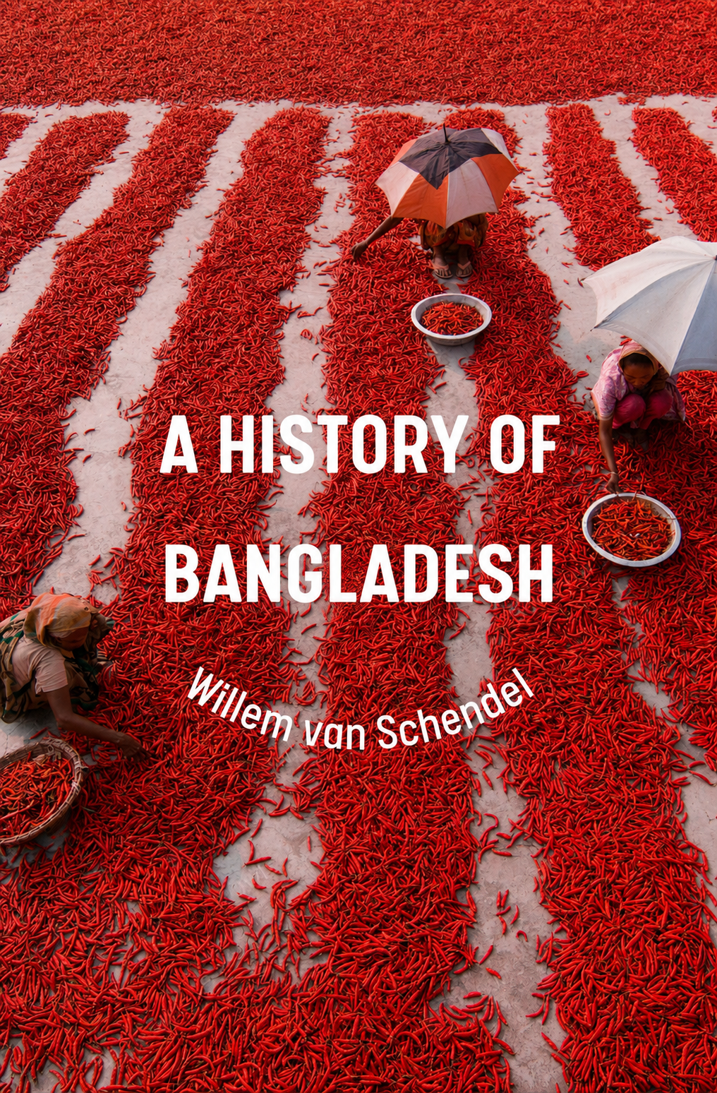 A History of Bangladesh Book by Willem van Schendel