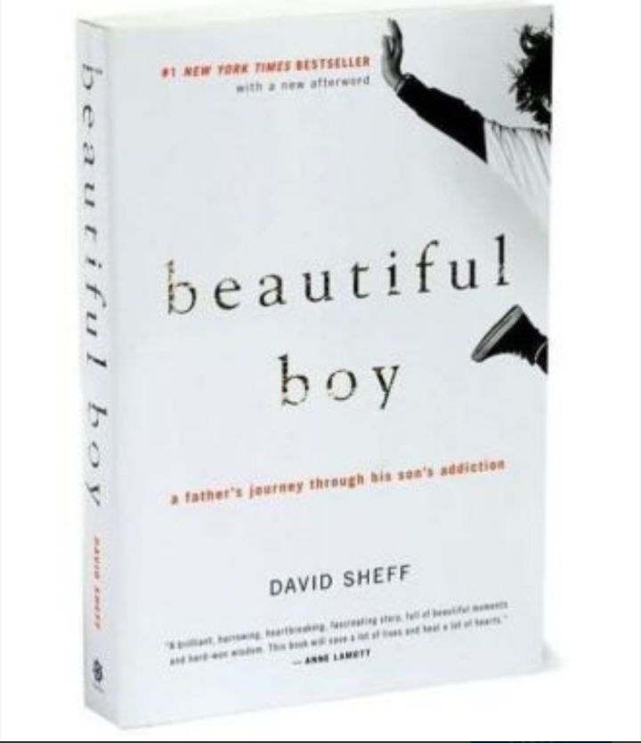 Beautiful Boy: A Father's Journey Through His Son's Addiction
Book by David Sheff